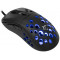 WHITE SHARK AZRAEL-B, GM-5013B gamer egér,6D, fekete, 7200 dpi, RGB (WS GM-5013B)