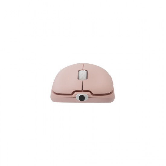 White Shark GRAPHENE-P, GM-5014P gamer egér,6D, pink, 6200 dpi, RGB