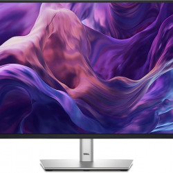 DELL LCD IPS Monitor 24