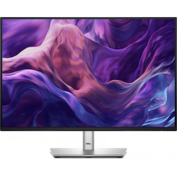 DELL LCD IPS Monitor 24