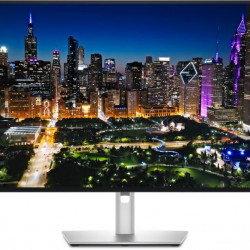 DELL LCD Monitor 31.5